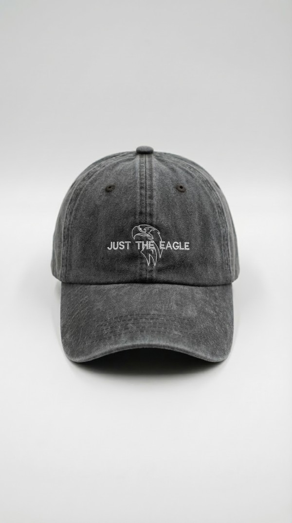Vintage Yıkamalı Füme "Just The Eagle" Şapka